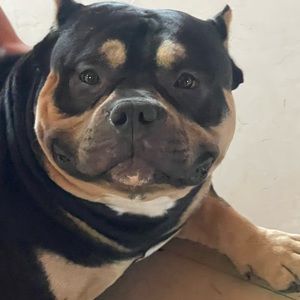 Meet your Posher, Karla